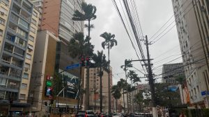 ventania em Santos com ventos fortes derrubando estruturas e provocando estragos na cidade, com prédios altos, palmeiras e fios de energia sobre a rua sob céu nublado