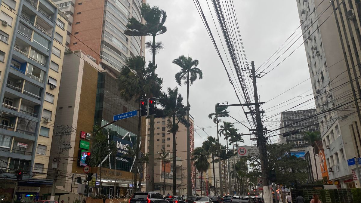 Ventos fortes na Baixada Santista, com céu nublado e árvores inclinadas entre prédios altos, fiação elétrica e ruas com carros durante estragos causados pelo temporal.
