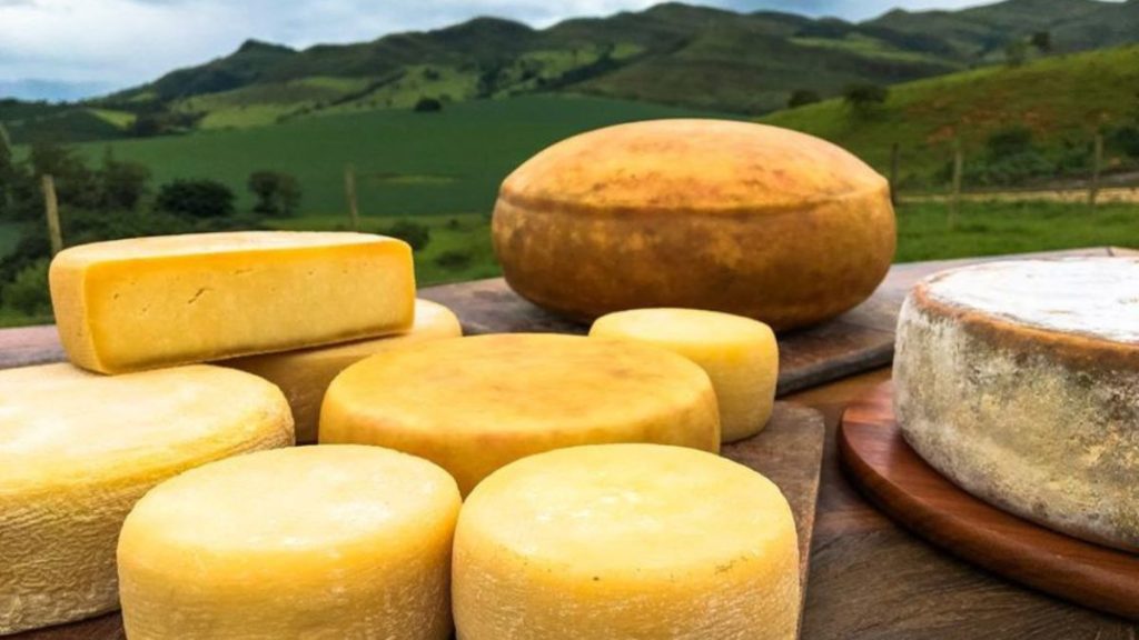 rotas do queijo no Brasil: Queijos da Serra da Canastra em peças sobre tábuas de madeira, com paisagem de montanhas ao fundo, destacando o queijo artesanal e tradicional do Brasil.