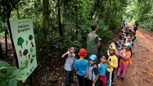 Crianças em visita a trilha na natureza, com placa informativa sobre arborização; texto indica abertura de visitas gratuitas da Mata de Santa Genebra para escolas em Campinas.