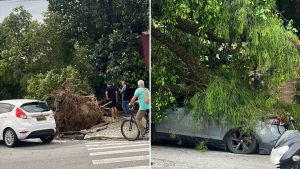 Ventania de mais de 111 km/h deixa um morto, derruba 20 árvores e causa destruição em Santos