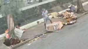 Cenário urbano com árvores caídas e pessoas ao lado de destroços após a ventania em Santos, mostrando o impacto de uma queda de árvore na rua