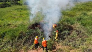 Equipe de bombeiros combate focos de incêndio em vegetação seca, com fumaça alta subindo no mato, em alerta para risco de incêndios em Campinas nos próximos dias.