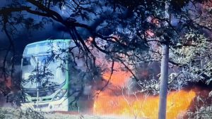 Ônibus municipal pega fogo em Campinas: imagem mostra um coletivo com chamas e fumaça próximo a árvores, enquanto a Emdec investiga as causas do incêndio