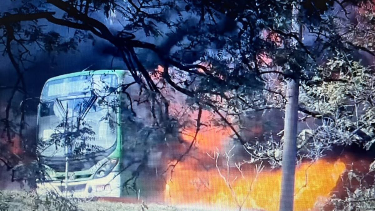 Ônibus municipal pega fogo em Campinas: imagem mostra um coletivo com chamas e fumaça próximo a árvores, enquanto a Emdec investiga as causas do incêndio