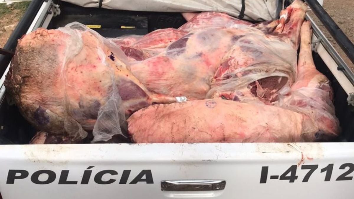 Carne imprópria para consumo apreendida pela PM em Campinas, com cortes de carne expostos em uma carroceria e o veículo de polícia ao fundo com a palavra “POLÍCIA” visível.
