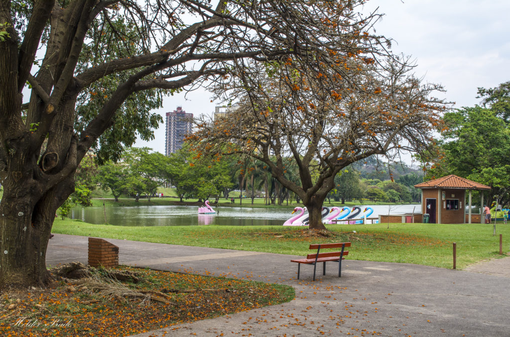Parque da Rua do Porto Piracicaba