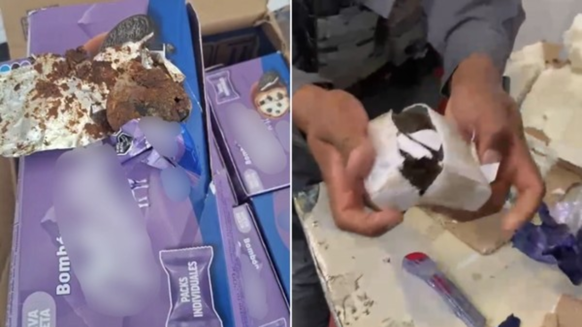 Cães do BAEP participam de ação de busca e apreensão: cães farejadores localizam drogas escondidas em encomendas dos Correios de Indaiatuba, com destaque para material apreendido em caixas e o manuseio das amostras