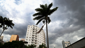 Céu nublado e escuro com palmeiras ao lado de prédios durante previsão de mudanças no tempo, com chuva, raios e ventos fortes até o fim de semana, ciclone bomba
