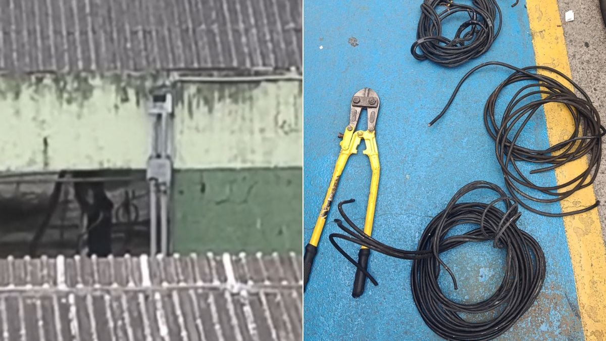 Imagem mostra fios elétricos e ferramentas de corte sobre uma superfície azul, em contexto de investigação sobre Furto de fios no sambódromo de Santos, com casal preso após tentativa de crime.