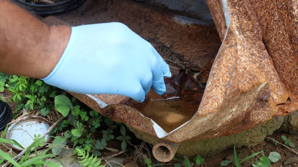 Mão com luva azul removendo água parada em um recipiente enferrujado, com mato ao redor, reforçando orientações de saúde para prevenção da dengue em Campinas.