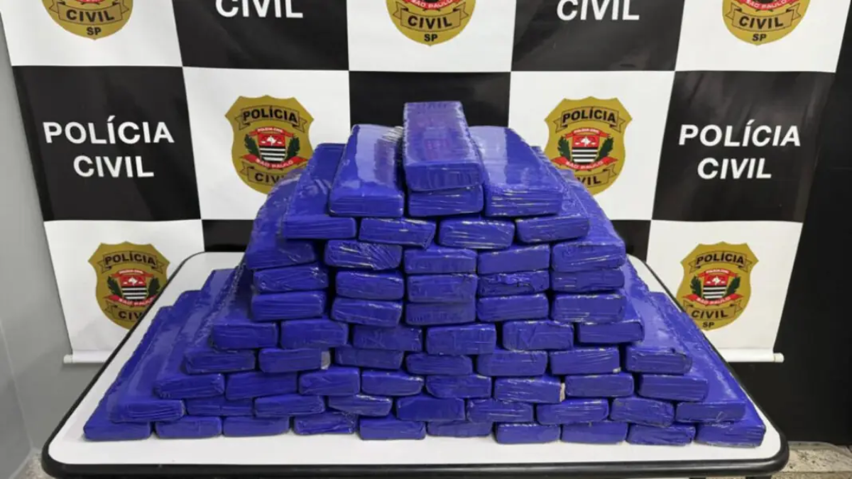 Polícia Civil apreende drogas em Campinas: grande quantidade de maconha prensada em tabletes azuis apreendida em operação, com fundo de identificação da Polícia Civil.