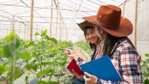 Projeto Vivenciando a prática do Café: estudante em estufa rural, com chapéu e prancheta, avaliando plantas de cultivo e colhendo informações para aproximar Santos do agronegócio.