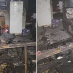 http://Incêndio%20deixa%20criança%20de%209%20anos%20queimada%20e%20mãe%20é%20presa%20em%20Engenheiro%20Coelho