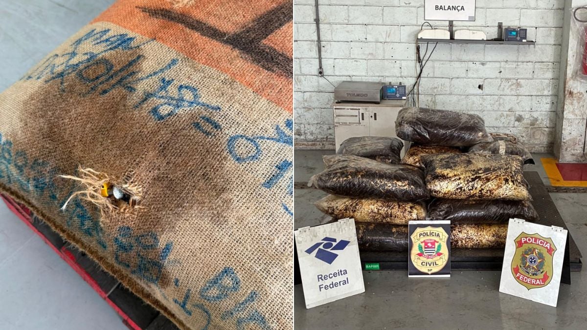 cocaína-porto-santos