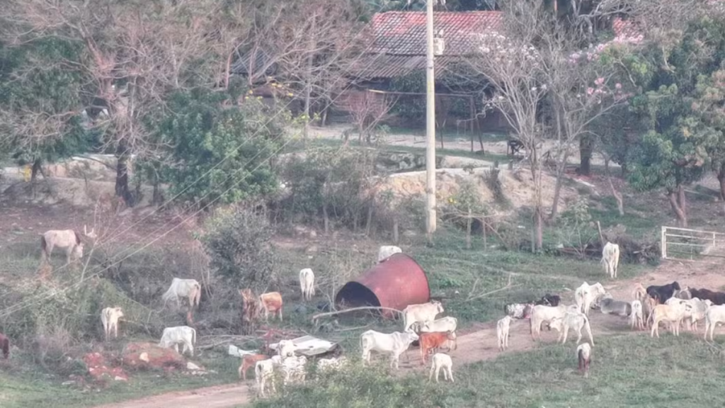 Sítio onde pai e filho procurados pela Interpol foram encontrados em Rio das Pedras (SP). Foto: Polícia Civil do Paraná (PC-PR).