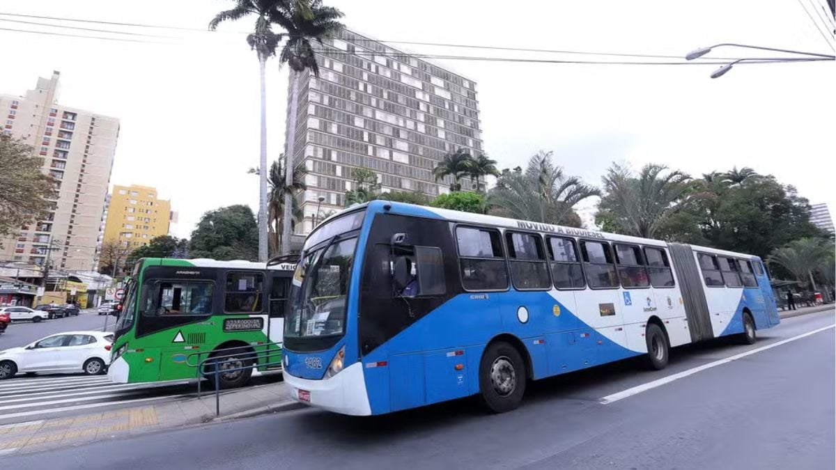leilão de transporte em Campinas: ônibus circulando em via urbana com prédios ao fundo, em imagem que remete à anulação de um leilão de R$ 11,8 bilhões pelo TCE-SP