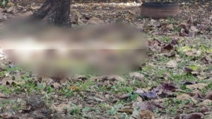 mulher encontrada morta em Capivari: Cena em área externa com corpo de mulher encontrado em estrada de Capivari, com sinais de violência, sob investigação policial e entorno com vegetação e terra