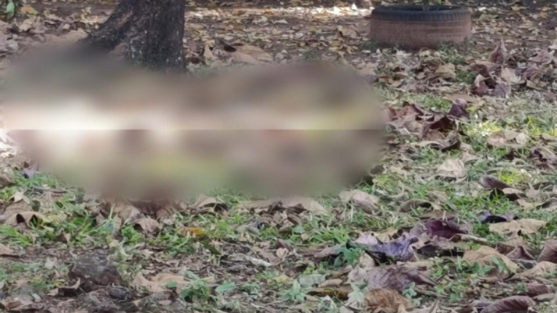 mulher encontrada morta em Capivari: Cena em área externa com corpo de mulher encontrado em estrada de Capivari, com sinais de violência, sob investigação policial e entorno com vegetação e terra