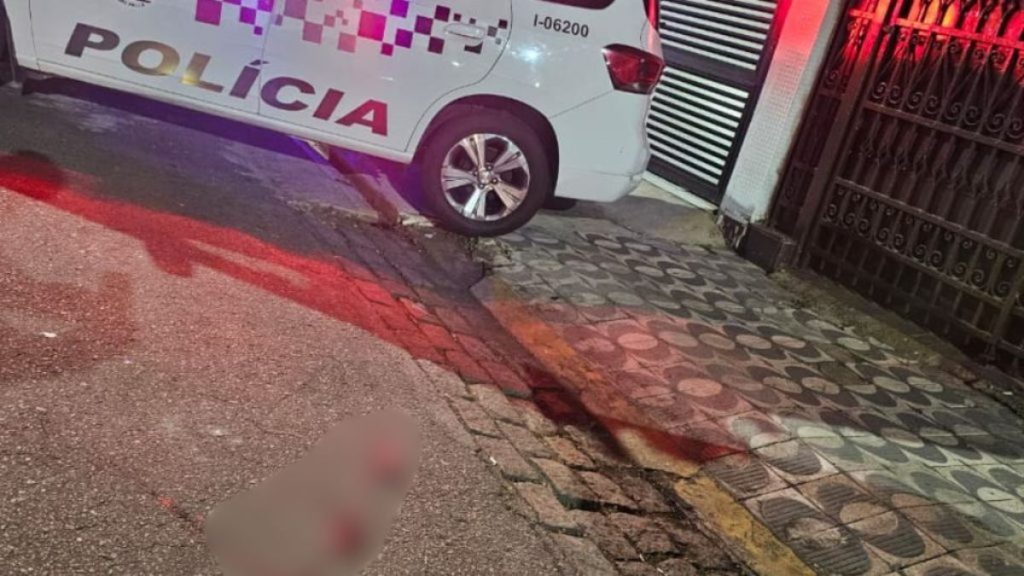 feto ainda estava ligado à placenta quando foi localizado em Santos.