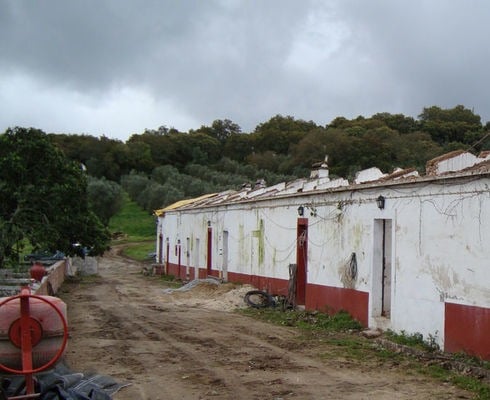 Imani Country House no Alentejo, perto de Évora: casa de campo tradicional com muros brancos e detalhes vermelhos, cercada por vegetação e área externa com chão de terra.
