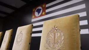 Eleições 2026: detalhes de cédulas com o brasão do estado de São Paulo (SP) em destaque, remetendo ao tema O que um governador e vice fazem e às funções na política estadual.