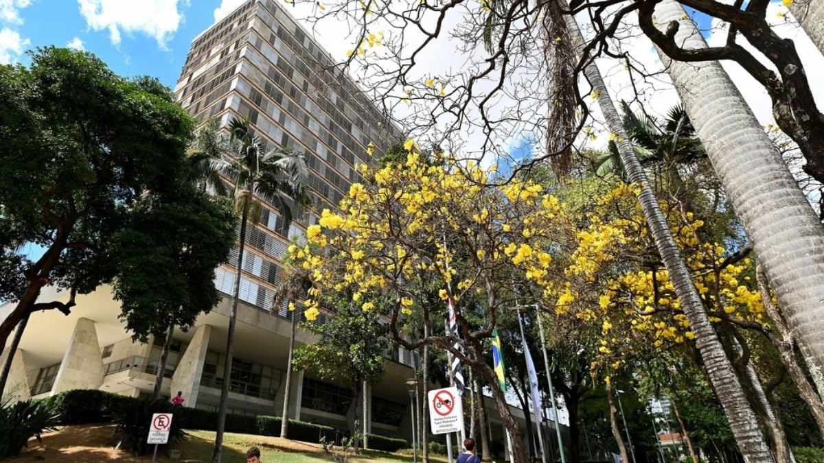 Prédio da prefeitura e árvores com folhas amarelas em Campinas, em imagem que remete à aprovação de renegociação de dívidas de Campinas e previsão de economia de R$ 45 milhões.