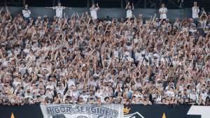 Torcida do Santos lotando arquibancada, com fãs levantando os braços e bandeiras, em imagem de divulgação do início dos Santos ingressos Palmeiras para o jogo contra o Palmeiras na Copa do Brasil.