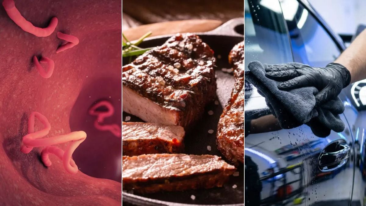 Por que as operações policiais têm nomes: Imagem em composição dividida: ilustra vermes parasitas em fundo vermelho à esquerda, carne crua com marcas de inspeção ao centro e um perito com luvas em uma cena de operação policial à direita. Fundo de reportagem sobre os nomes das operações policiais.