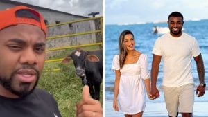 Davi Brito em vídeo aponta para um boi em um cercado, comentando que o animal está “gordinho” e será abatido para festa de casamento.