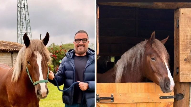 Rodrigo Carelli aparece ao lado de um cavalo e conversa com a equipe em área rural, antes da estreia de A Fazenda 18, pedindo ajuda para batizar a nova integrante da Baia.