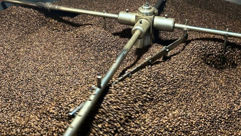 Moagem e torrefação de grãos de café em pequenas torrefações, com maquinário espalhando e mexendo o café torrado em uma linha de produção, destaque para o setor de café no país