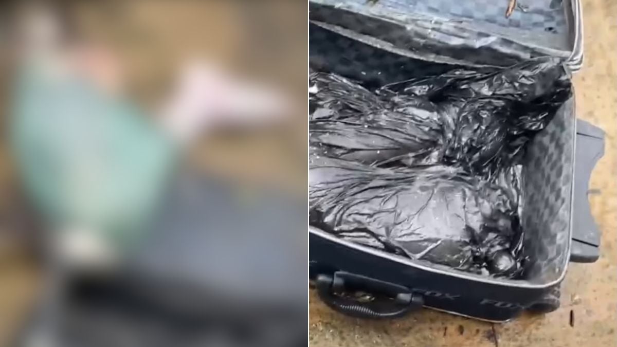 Mala com partes de corpo humano é encontrada na marina de São Vicente; VÍDEO