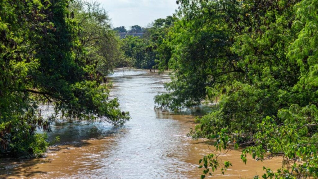 Rio Capivari começa a baixar após enchentes, com águas do rio ainda turvas seguindo pelo leito entre árvores verdes e margens alagadas