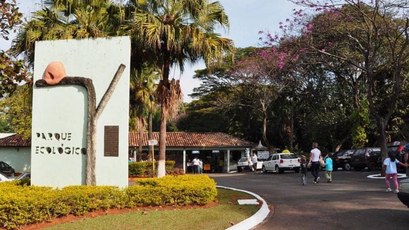 Atividades de enriquecimento ambiental realizadas com animais