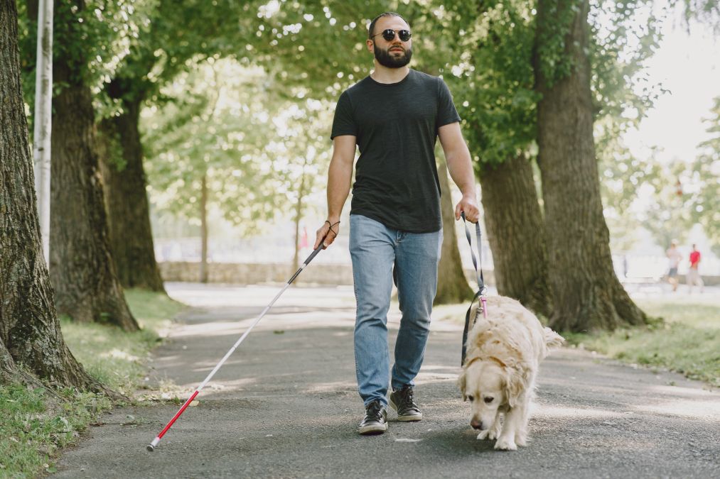 Um homem cego com barba e óculos de sol caminha num parque arborizado, segurando uma bengala branca na mão direita e a trela de um cão-guia de raça Golden Retriever na mão esquerda.