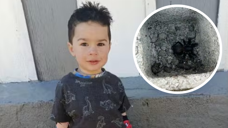 Criança de 1 ano e 10 meses aparece em foto enquanto é noticiado: criança morre após picada de aranha em Atibaia. Ao lado, imagem ampliada de uma aranha.