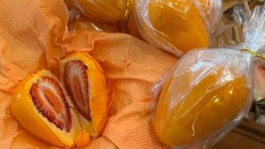 Pratos e sobremesas preparados com laranja durante evento em Limeira