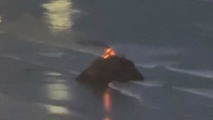 Cena desfocada com fumaça e luzes ao fundo, sugerindo fogo ou incêndio em meio a um cenário noturno, com clarões refletidos no ambiente