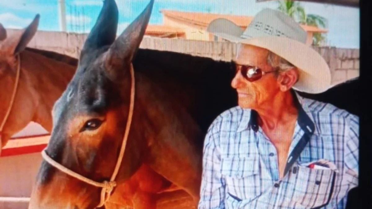 morte-haras-campinas