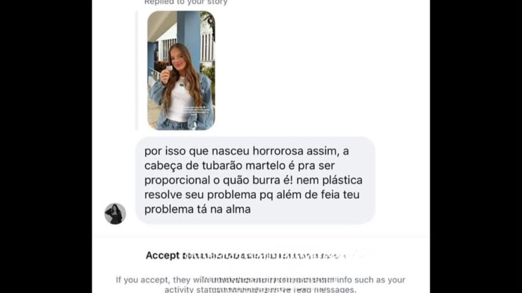 Print de conversa em aplicativo de mensagens com balão de texto em português e legenda destacando “Accepted” em inglês, mostrando uma foto de uma mulher em perfil de story