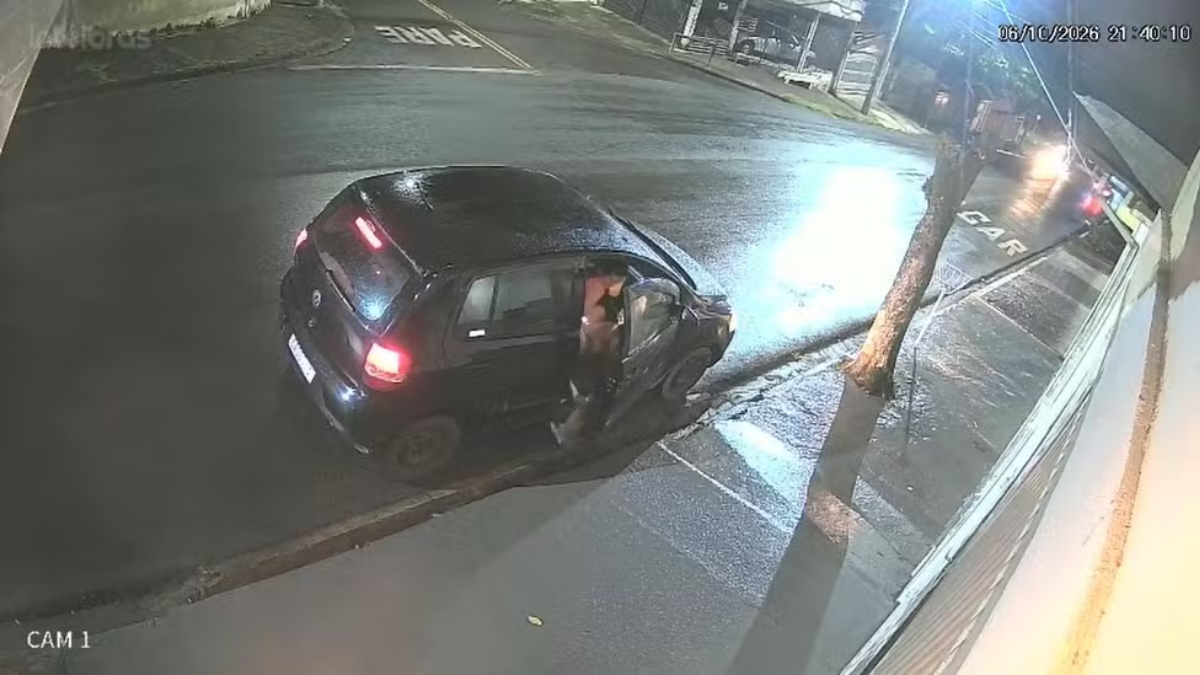Câmera flagra abandono de gato em rua movimentada de Piracicaba durante chuva