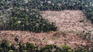 Vista aérea de uma área de floresta com clareira e vegetação rala, mostrando encostas desmatadas e áreas de arbustos secos ao lado de um trecho ainda arborizado ao fundo.