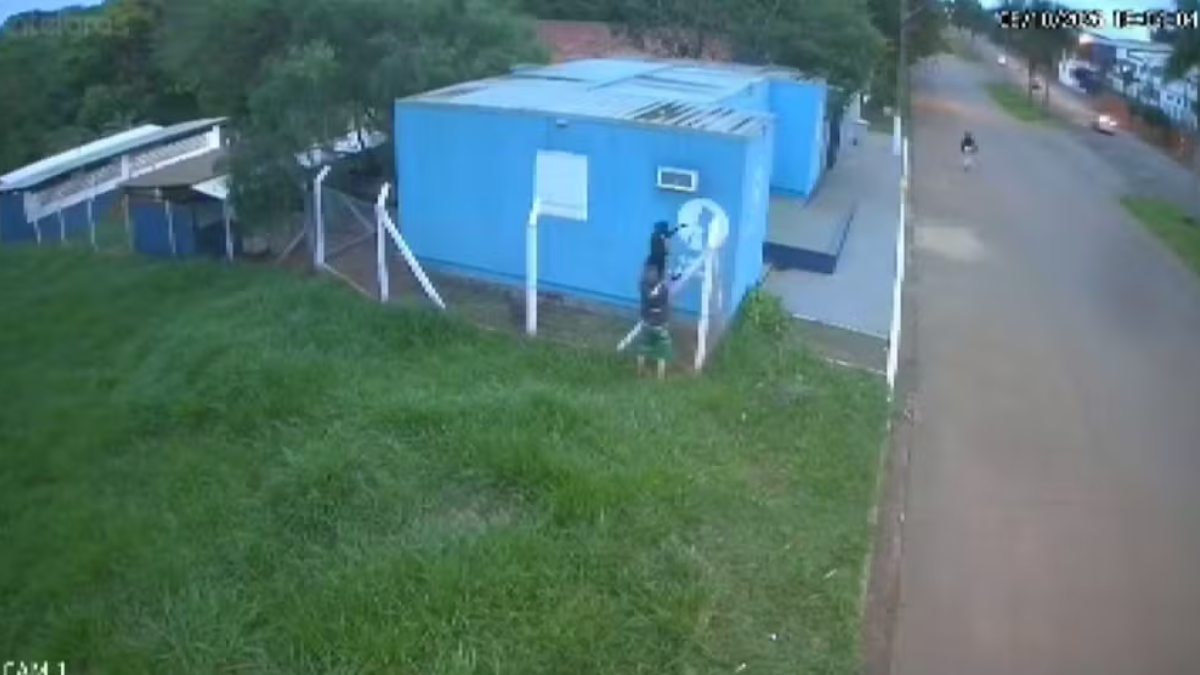 Câmeras flagram homem arremessando cachorro em canil municipal no interior