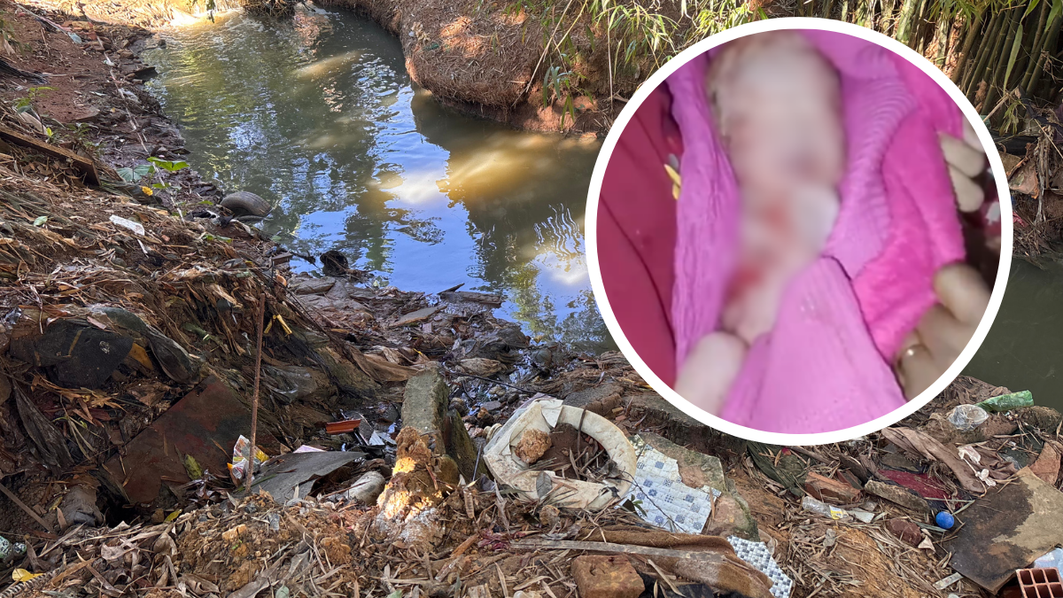 Recém-nascido encontrado ferido às margens de ribeirão em Cosmópolis é entubado