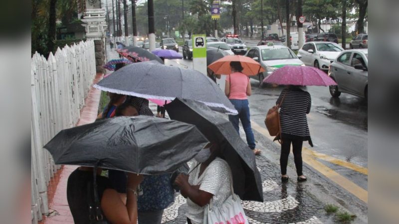 Legenda: Pedestres utilizam guarda-chuvas durante período de chuva em Santos, na Baixada Santista.Crédito: Carlos Nogueira/Prefeitura de Santos