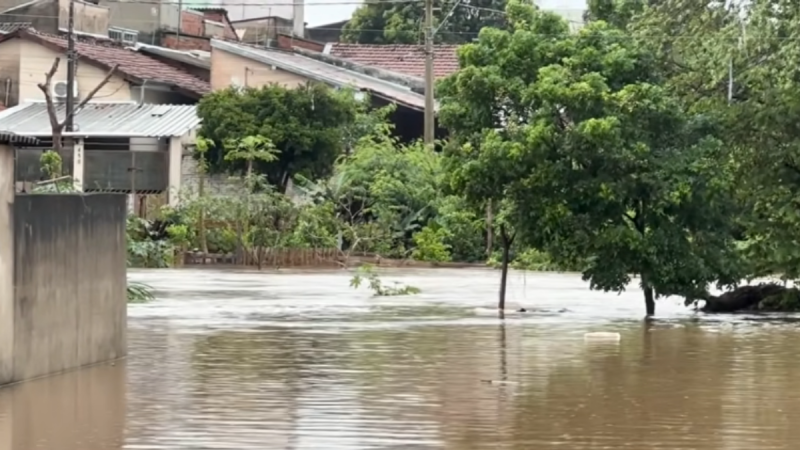 Rio transbordando e invadindo a área urbana, com casas e vegetação ao fundo, formando água marrom e correnteza em meio à chuva e alagamento.