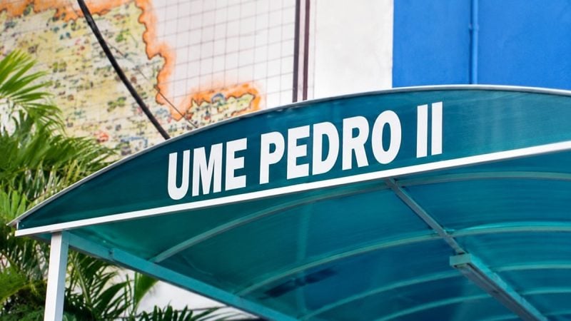 UME Pedro II, em Santos, mantém aulas presenciais suspensas após identificação de tocas de roedores no pátio. Foto: Reprodução/Redes sociais.