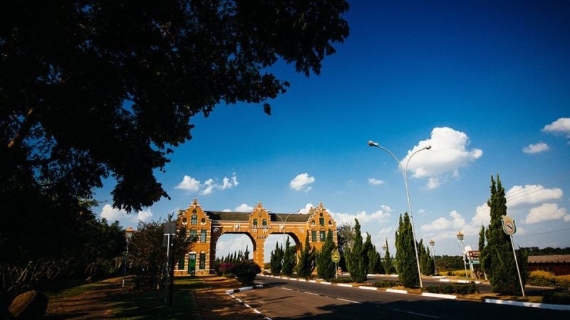 Holambra ao ar livre: árvore com folhas amarelas e flores coloridas em frente a um arco de jardim sob céu azul, em cenário turístico