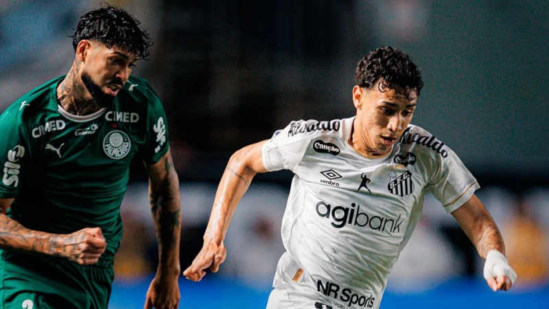 Jogadores do Santos e Palmeiras disputam jogada durante clássico.